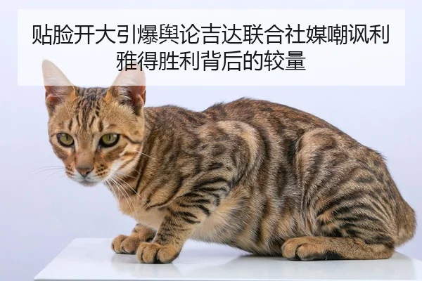 贴脸开大引爆舆论吉达联合社媒嘲讽利雅得胜利背后的较量
